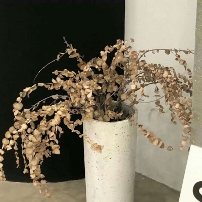 兽设节日场景创作福瑞群